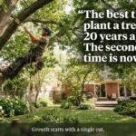 Tree Cutting Quotes